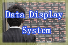 Data Display System